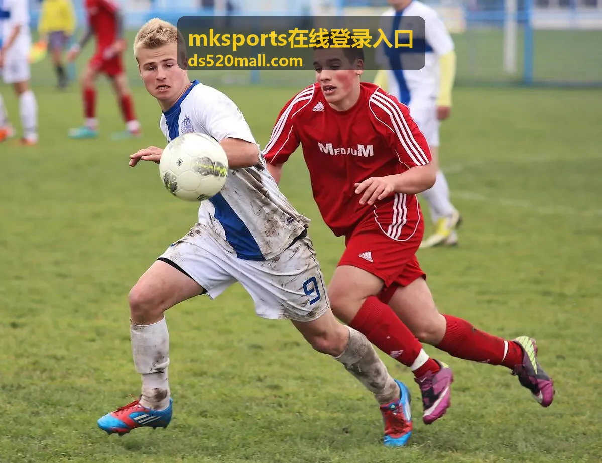 mksports在线登录入口赛事日登录与观赛安排示意